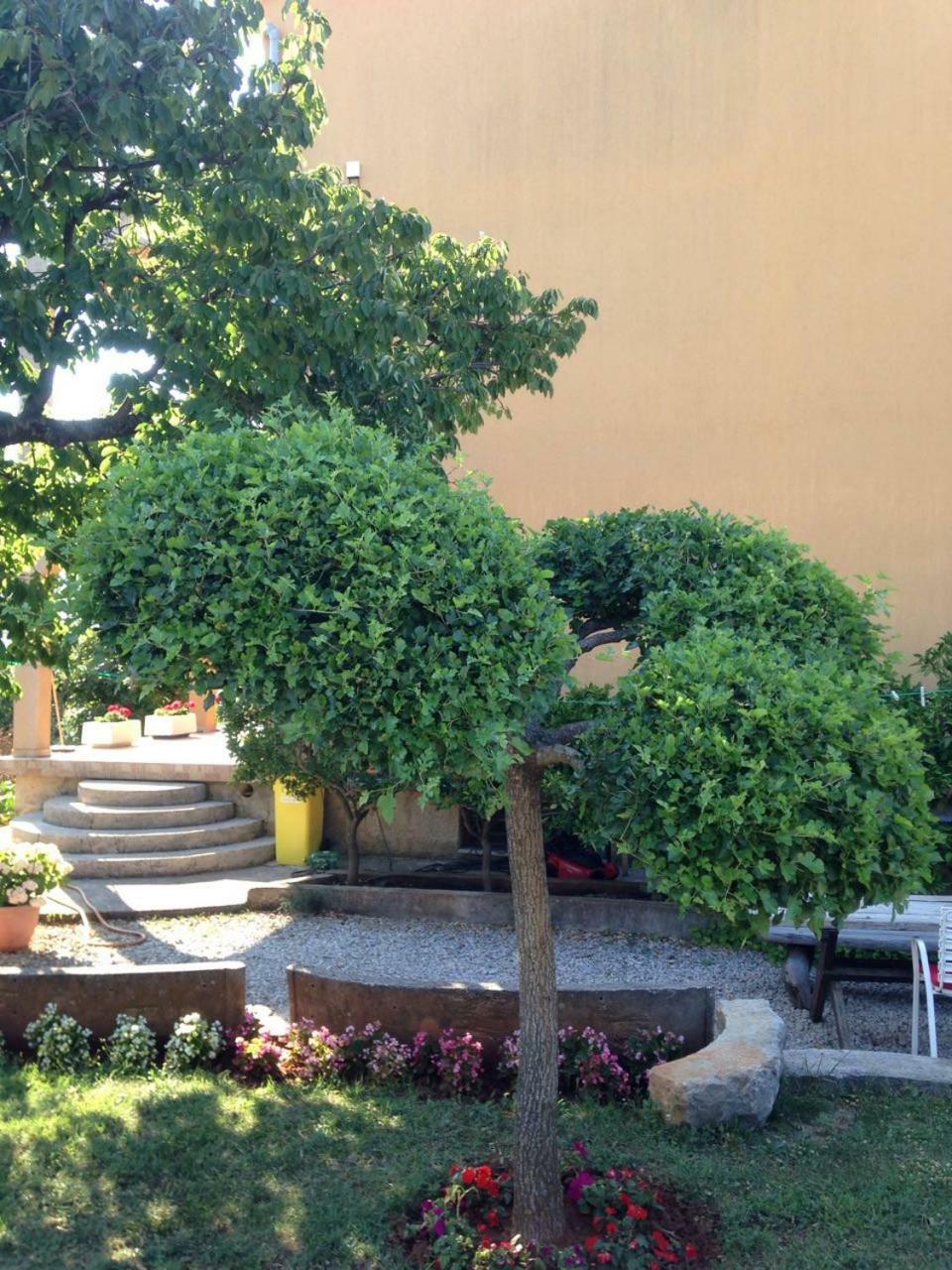 Spacious And Modern App With Big Terrace Malinska Dış mekan fotoğraf